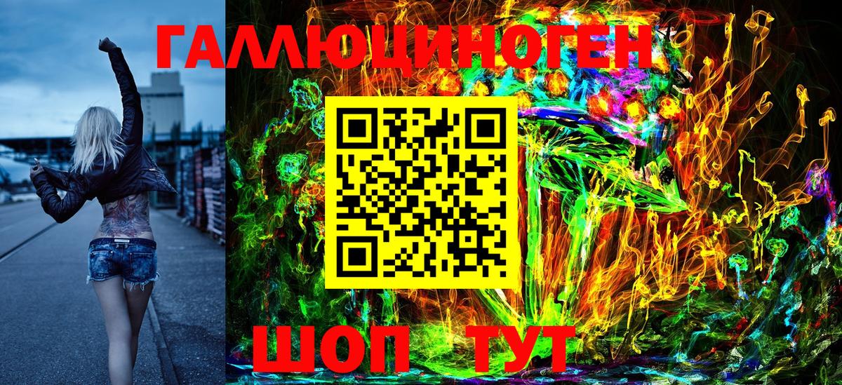 Псилоцибиновые грибы Psilocybine cubensis Железногорск