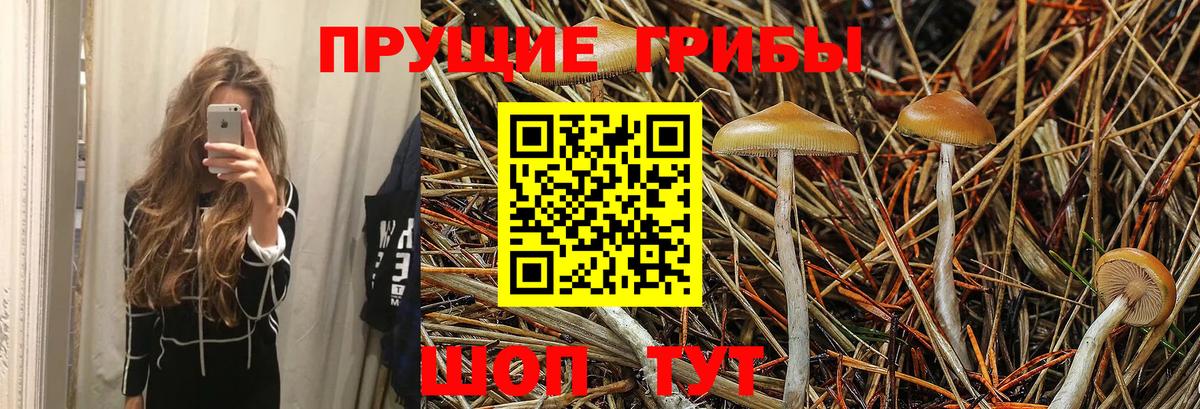 Железногорск  Галлюциногенные грибы Magic Shrooms  Вход с VPN 